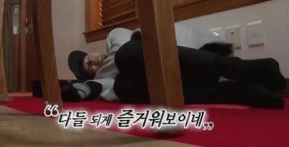 다들 되게 즐거워보이네 쓸쓸 혼자 왕따 측은