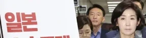 일본 나경원 확대밈 확대짤 확대 증거 패러디
