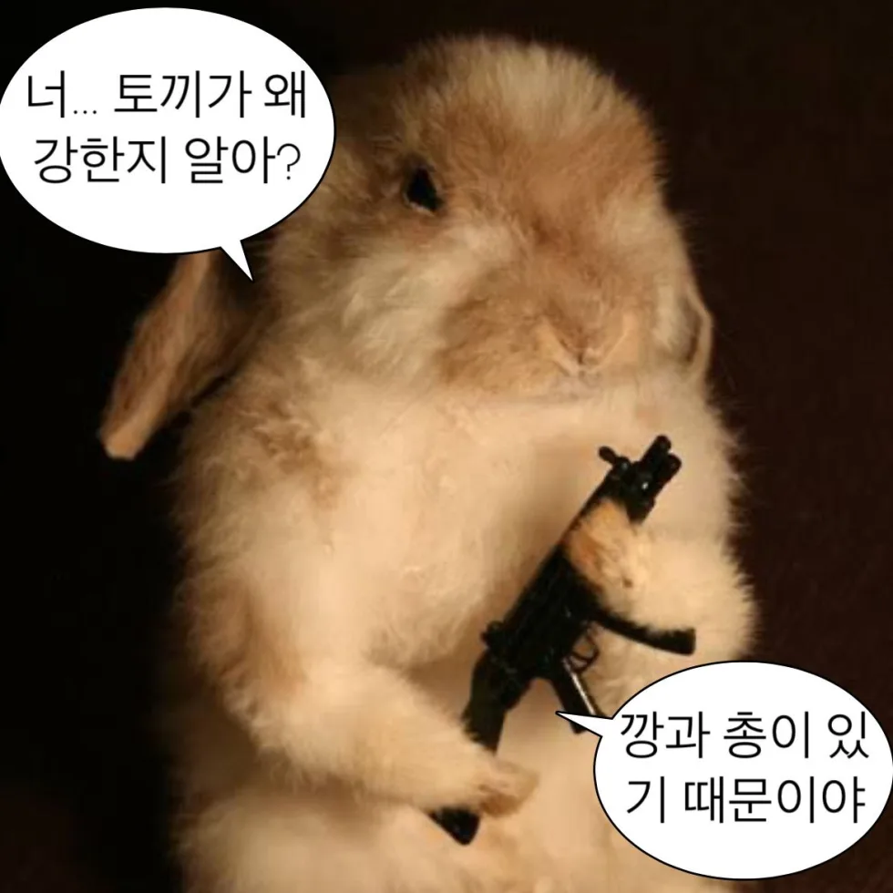 토끼가 강한 이유 짤방 웃긴짤 유머