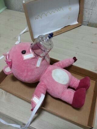 빠순 빠돌 씹덕사로 잠들다