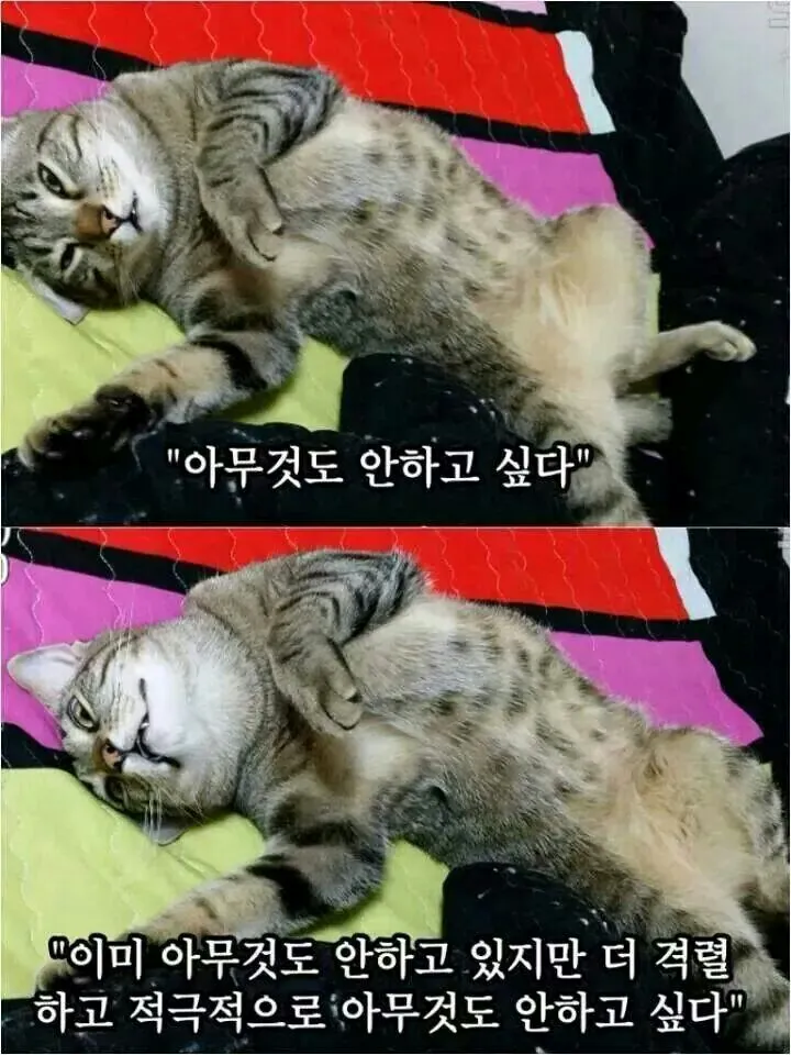 아무것도안하고싶다