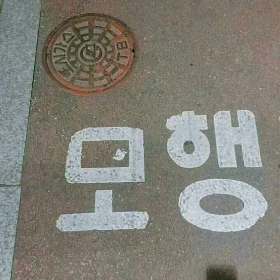 모행 뭐해 머해 뭐행 머행 도로