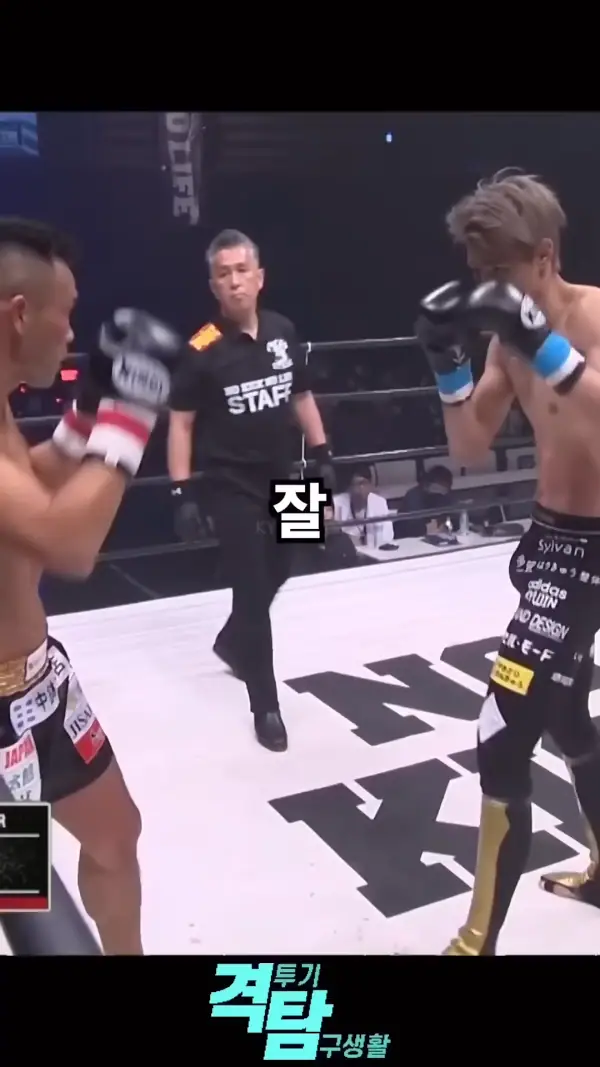 쓰러진이유 격투기 탐구생활 쓰러진 이유 실신 황당 KO 레전드 웃긴 짤 반전