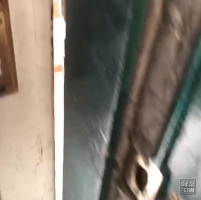 댕댕이 산책 놀람 눈바다