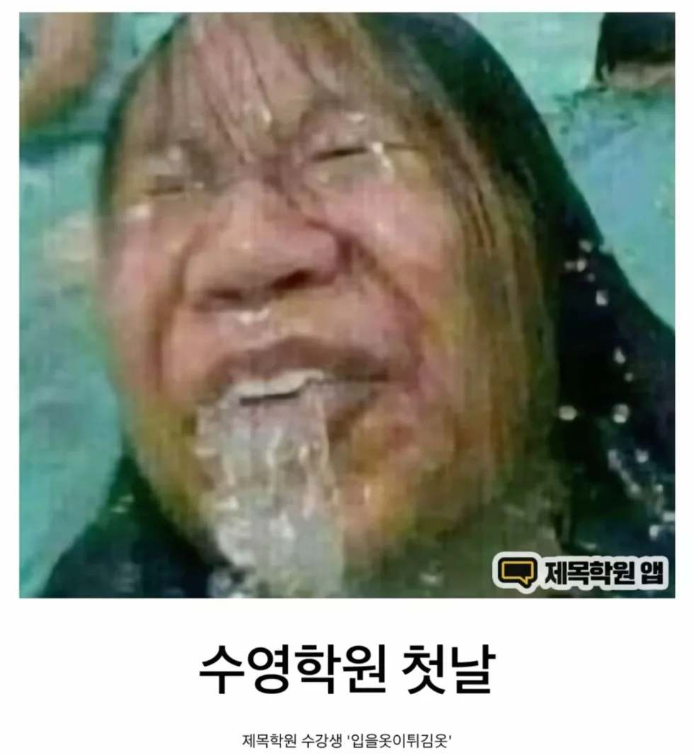 180개의 아이디어 짤방 웃긴짤 유머