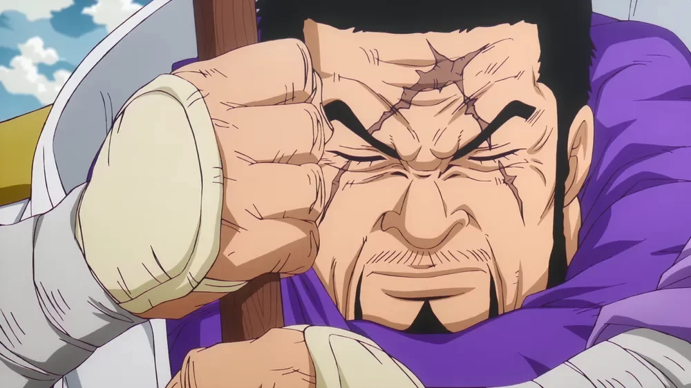잇쇼 원피스 애니메이션 일본 One Piece