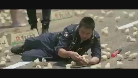 병아리 줍기 반창꼬 영화