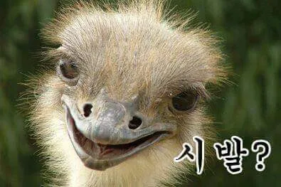 머라고? 욕 화남