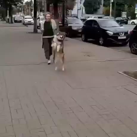 멍짤