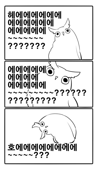 헤에 질문 의문 부엉이