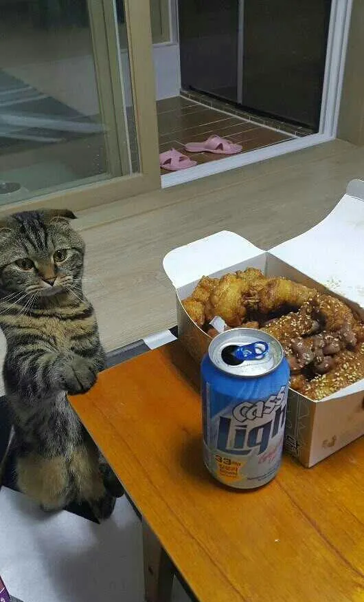 냥무룩