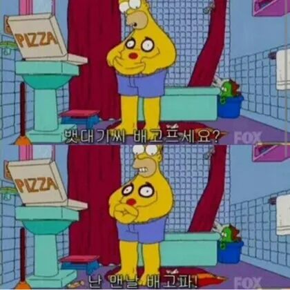 배때지씨
