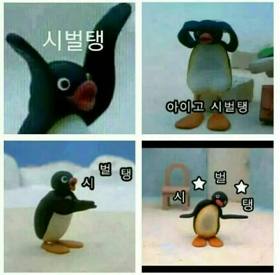 시벌탱 펭귄 욕 화남