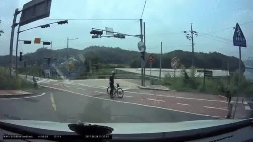 개노답 동호회