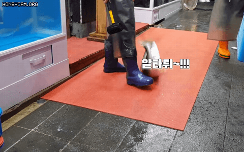 #무능알바 #알타뤼 #방어 #한방