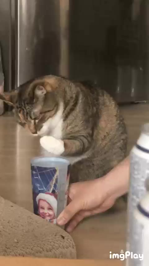 목마른궁금이