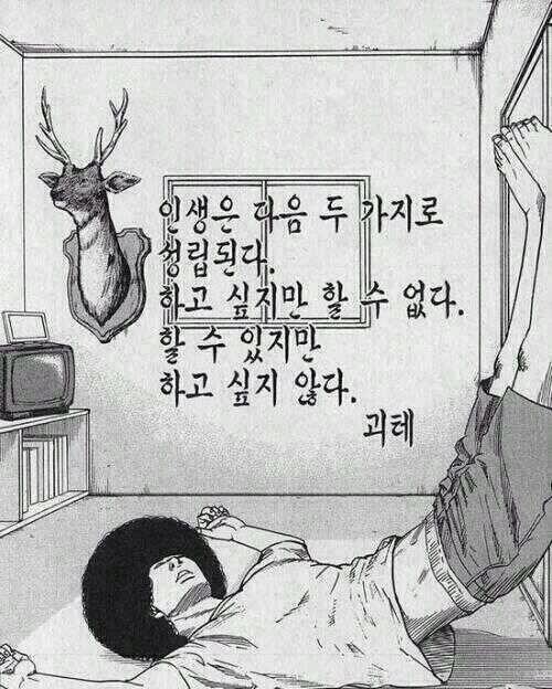 하기싫다 무기력 귀찮아 인생은 두 가지로 나눌 수 있다..