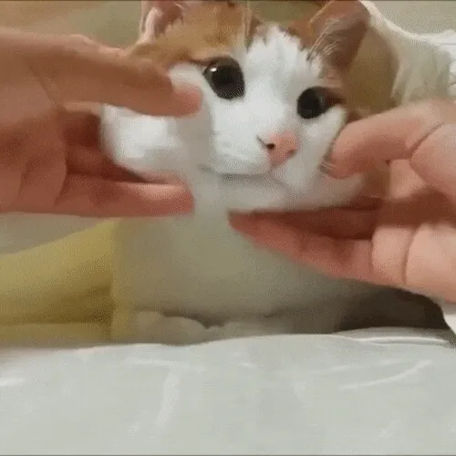 뭔데 니가!!