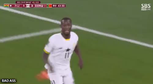 역호우 가나 부카리 호날두 세레머니 도발 킹받는 월드컵 축구