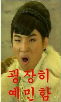 예민 대성 도도 예민함