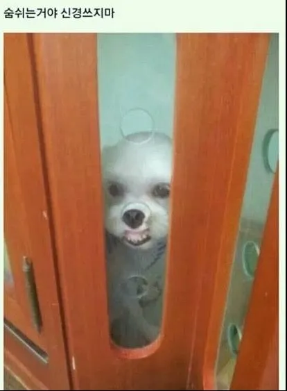 숨쉬는중 숨쉬는거야 먹고싶다