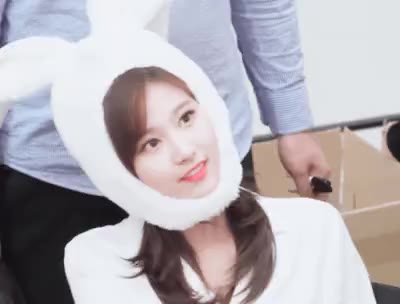 사나 토끼 토끼 사나 토끼 사나 트와이스 트둥이들