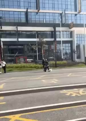산책 노인 신발 멍짤 강아지