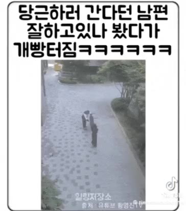 당근하러 간다던 남편 잘하고 있나 봤다가 개빵터짐ㅋㅋㅋ.
