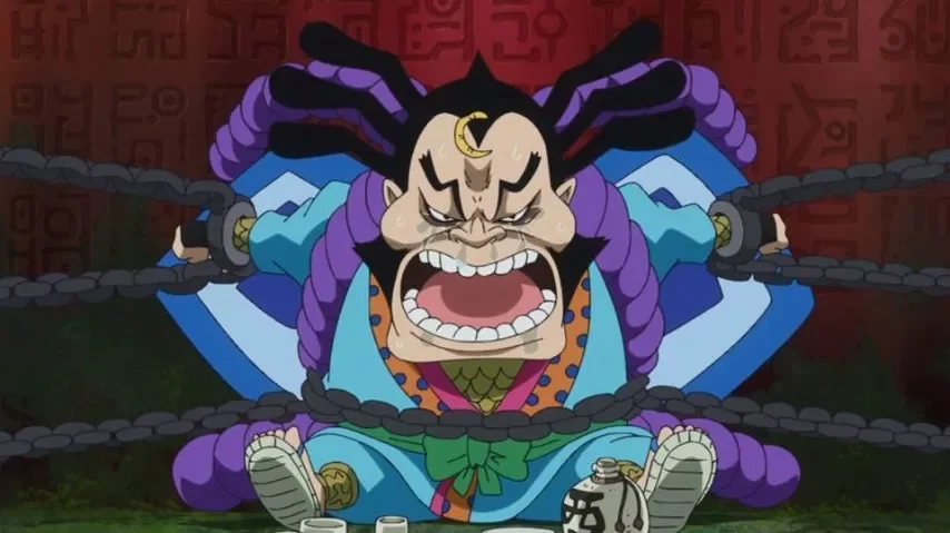 라이조 원피스 애니메이션 일본 One Piece