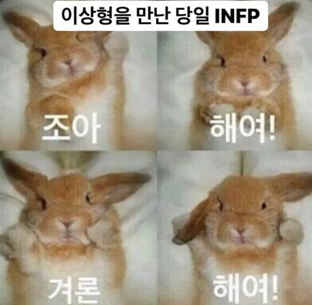 INFP #MBTI 성격 유형 취향 mbti짤 mbti짤방 mbti타입