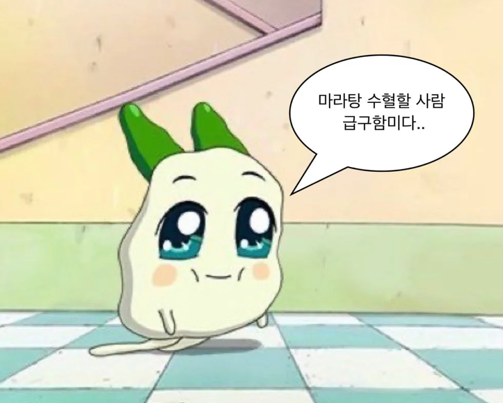 짤에 있는 예은 박님의 짤방 웃긴짤 유머