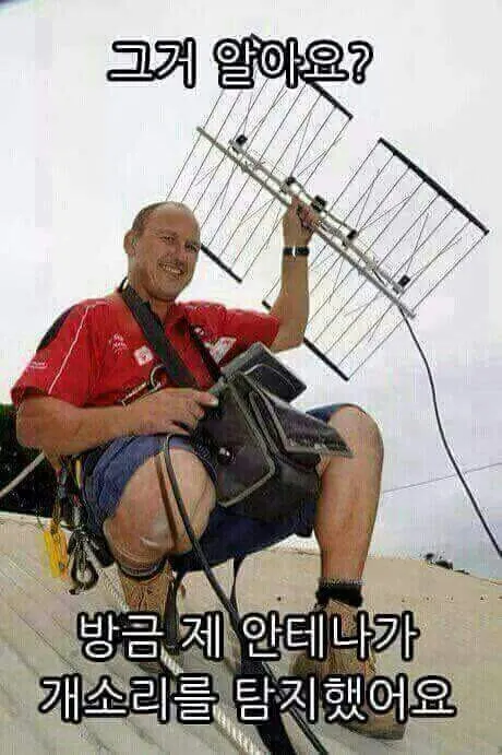 안테나 탐지 개소리탐지