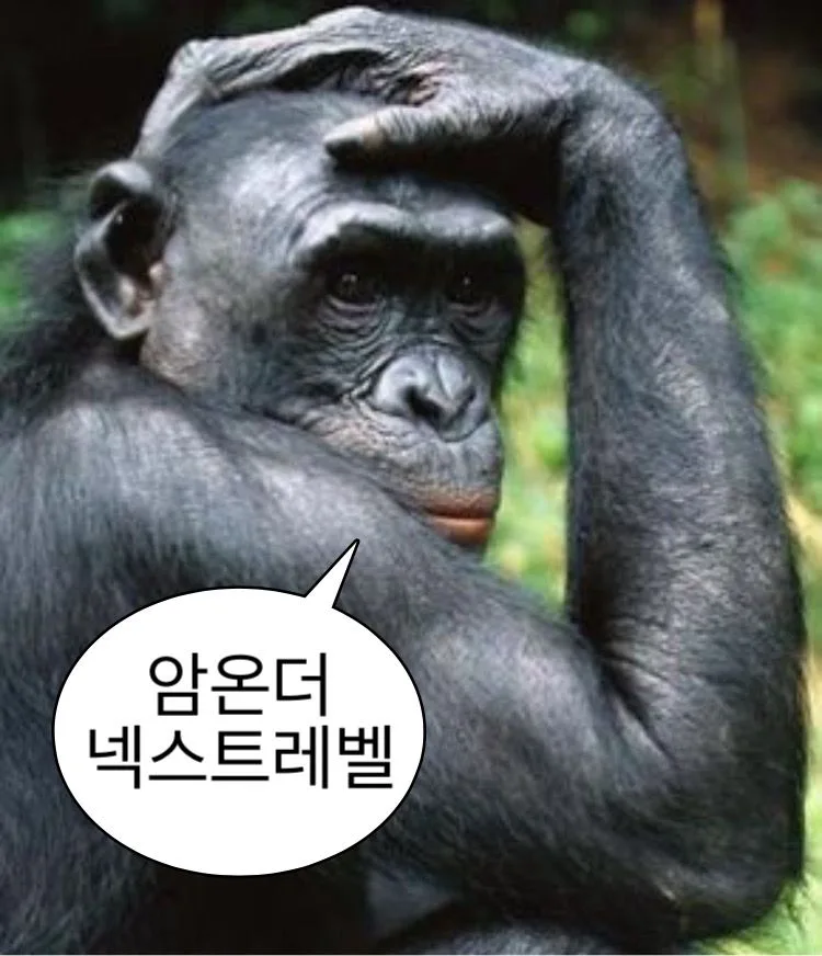 18개의 킹받는 아이디어 짤방 웃긴짤 유머