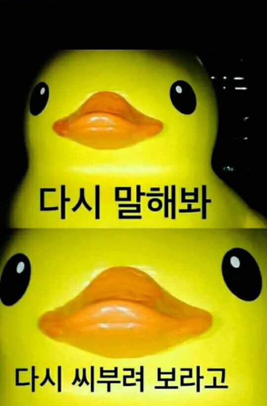 오리의욕