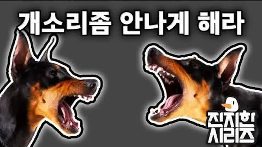 개소리 왈왈 개소리좀안나게해라 헛소리 지랄