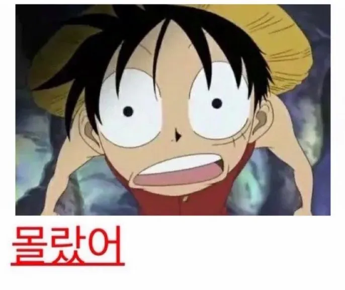 몰랐어 (원피스 루피 당황 짤)