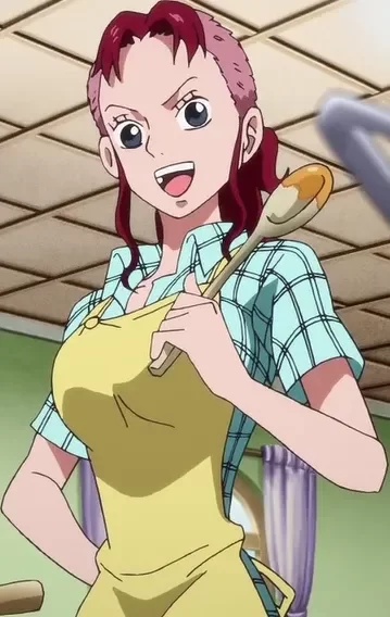 벨메일 원피스 애니메이션 일본 One Piece