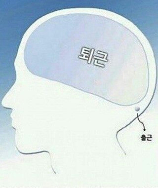 퇴근 칼퇴 불금 집