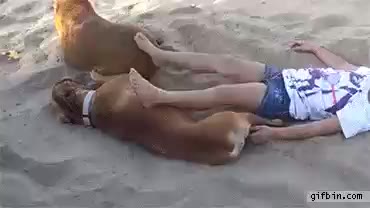 응징 죽어라