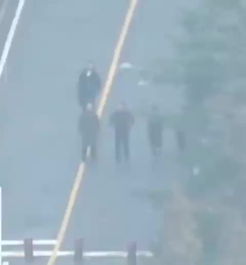 굥관저 윤석열 대통령 관저 산책 안개 흐릿한 뒷모습