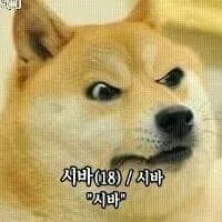 시바 시바견 욕 ㅅㅂ