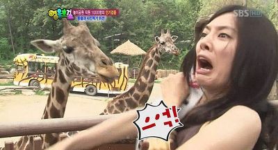 으억 깜놀 놀람 개놀람 순간포착 홍수아