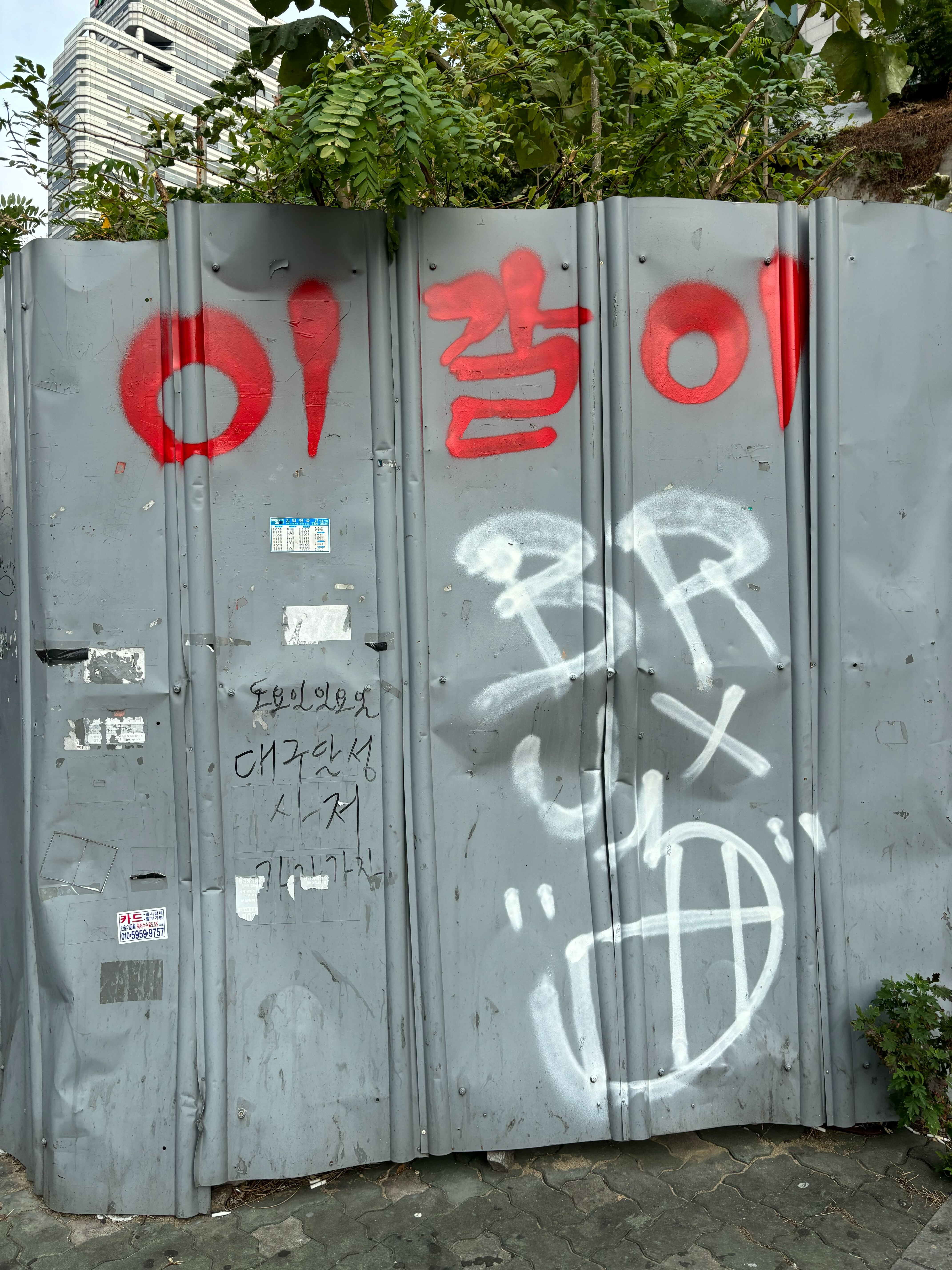 이갈이 광기 기괴 공포 낙서 길거리 대구 스프레이 웃긴 짤
