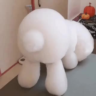 비누 거품으로 강아지 만듦.gif 거품 강아지 개 댕댕이 비숑