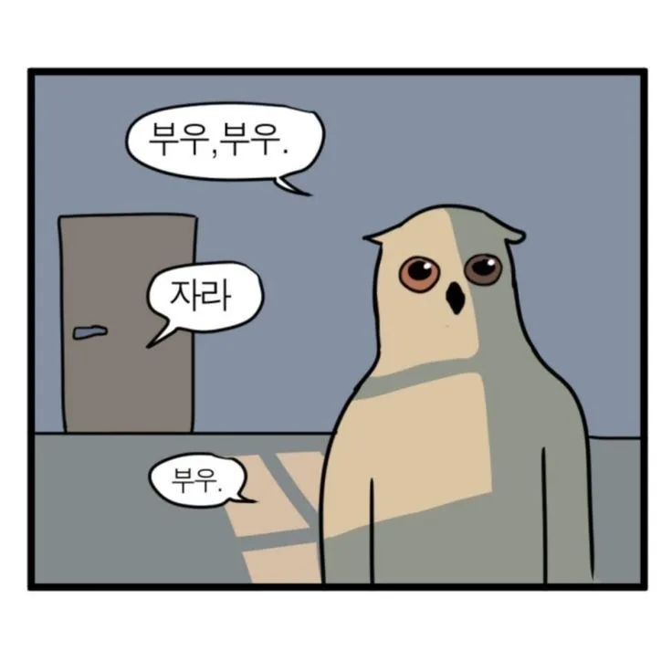 부엉이 부우 만화 캐릭터