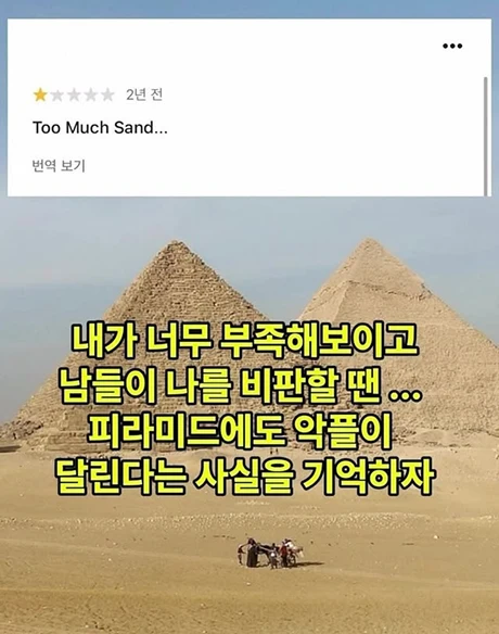 피라미드에도 악플이 달린다