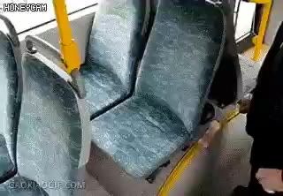 버스의자 먼지 혐짤 혐오 놀람