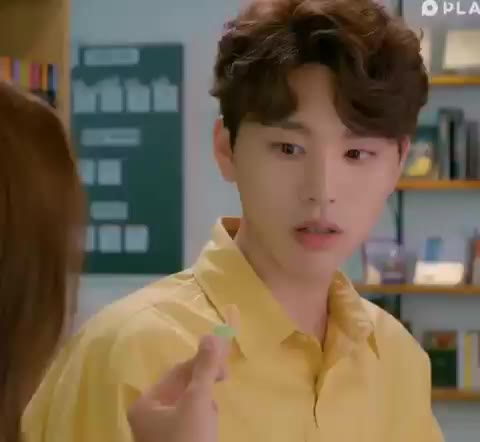 플레이리스트