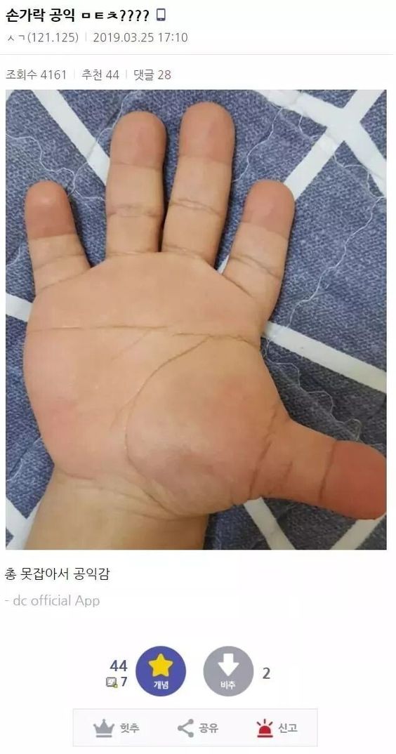 손가락 공익 손크기 굻은손 손바닥 총 못잡아서 공익감
