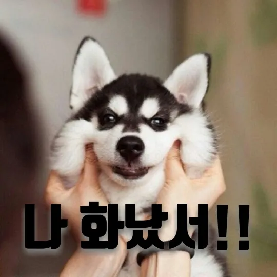 나 화났서!!!